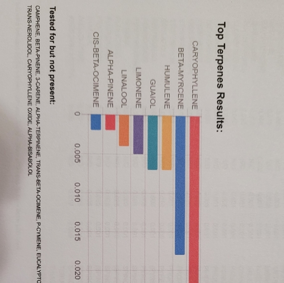 Full Spectrum Canabinoid 1000 MG with MCT OIL Full Spectrum CBD OIL - Picture 5 of 6